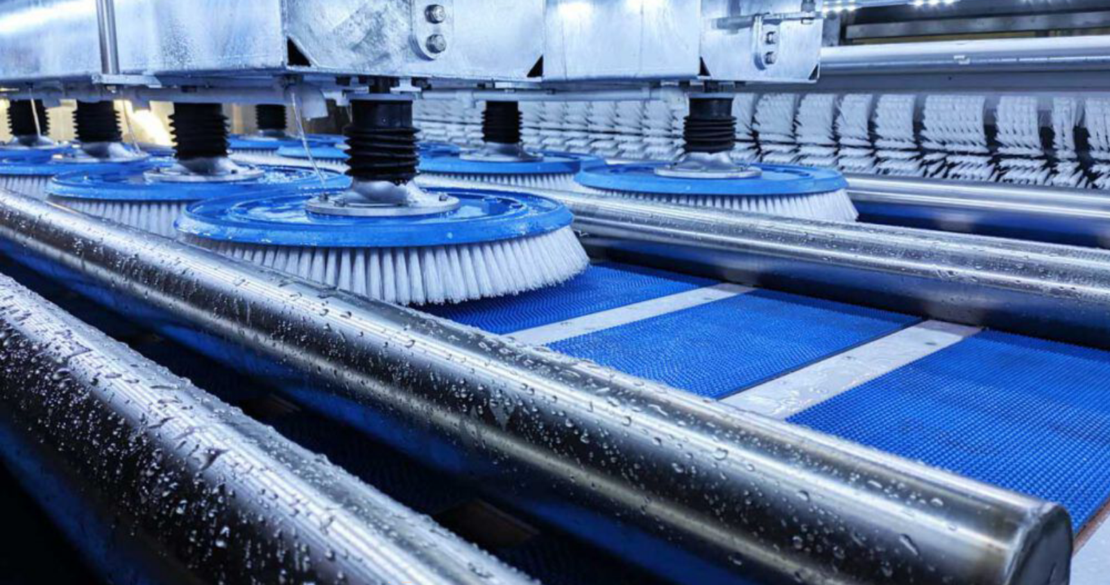 Halı Yıkama | İstanbul Özveri Profesyonel Halı Yıkama Hizmeti