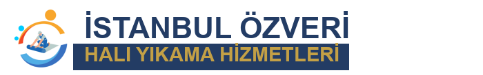 İstanbul Özveri Halı Yıkama | Profesyonel Halı ve Koltuk Yıkama Hizmet